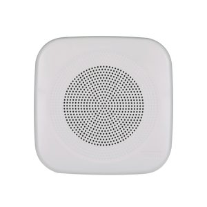 InterM CS303FQ APT Speakers