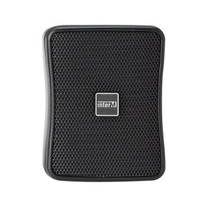InterM WS-15T installation speaker